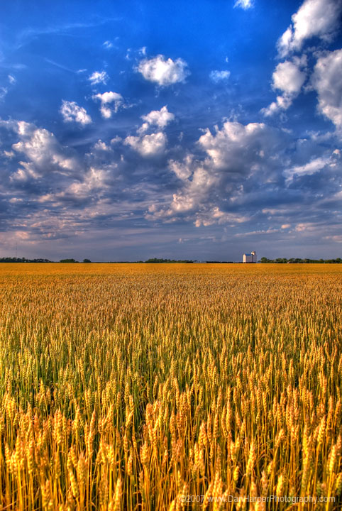 DSC_7004-HDR