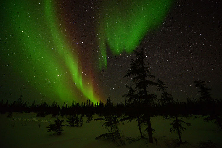 churchill northern lights stock photography