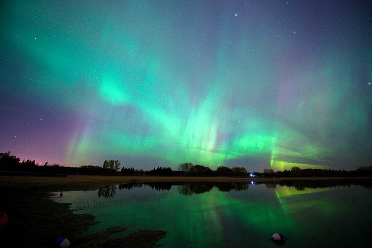 Northern Lights Winnipeg Manitoba Birds Hill park