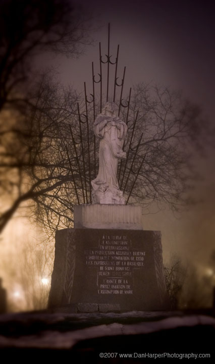 DSC_1324
