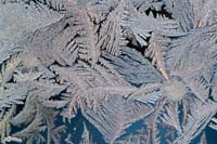 snow flake macro stock photography