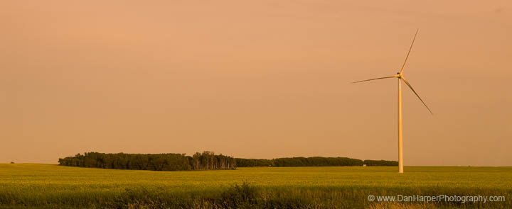 _DSC5953