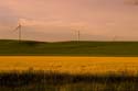 _DSC5949