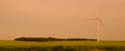 _DSC5953