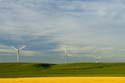 _DSC5991