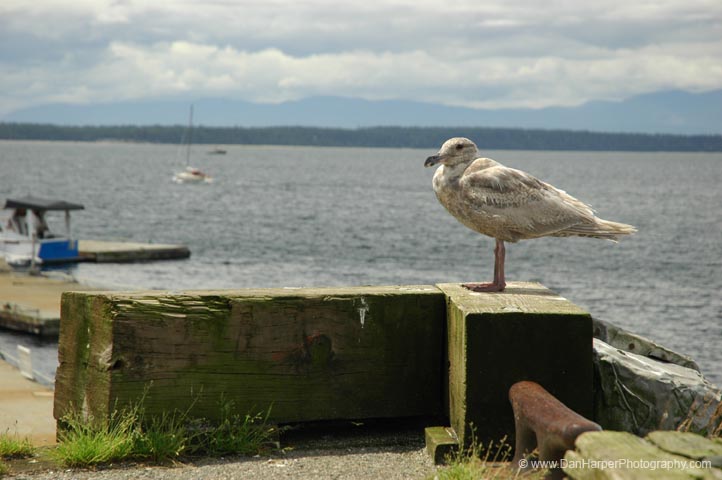 DSC_9703