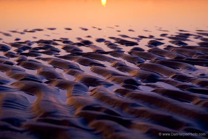 _DSC5581