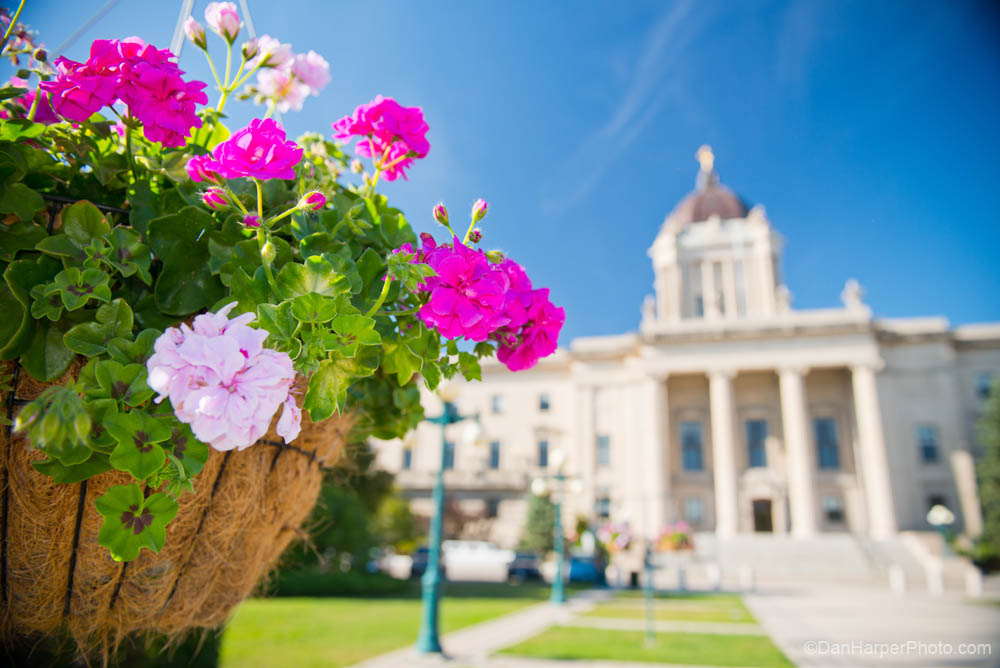louis_riel_stock_D80_4678