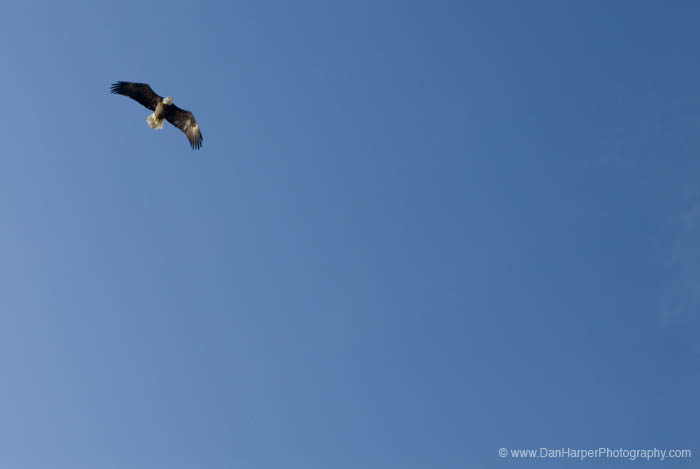 _DSC0031