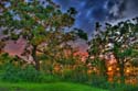 DSC_7632_HDR