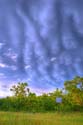 DSC_8884_HDR