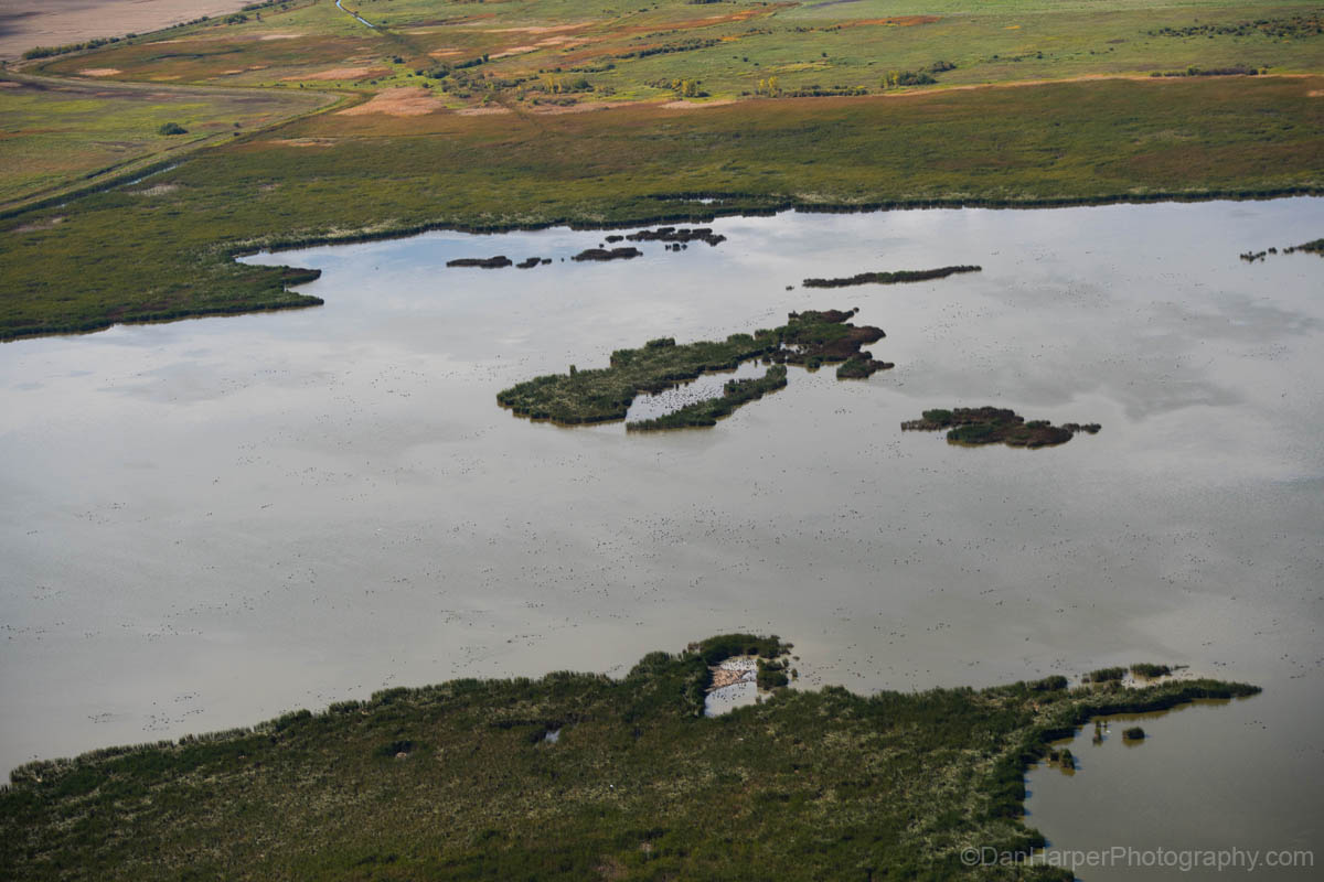 oak_hammock_marsh_8511