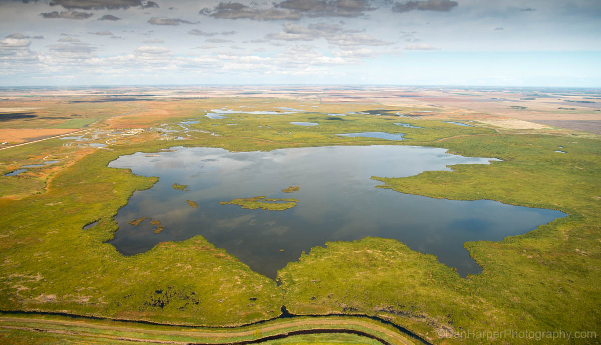 oak_hammock_marsh_9378