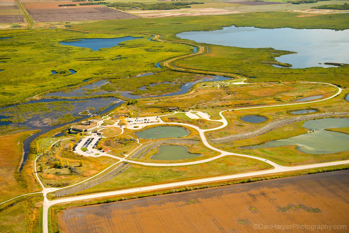 oak_hammock_marsh_9401