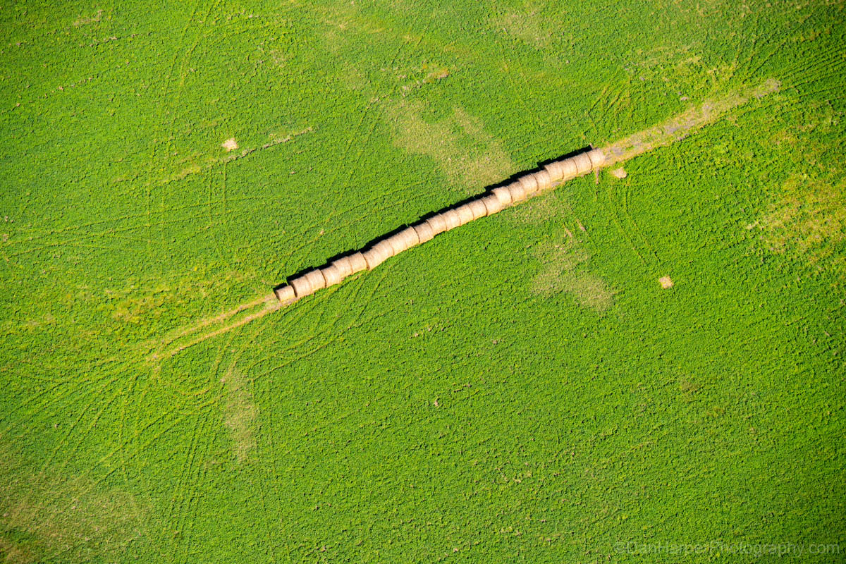 rural_manitoba_field_8633