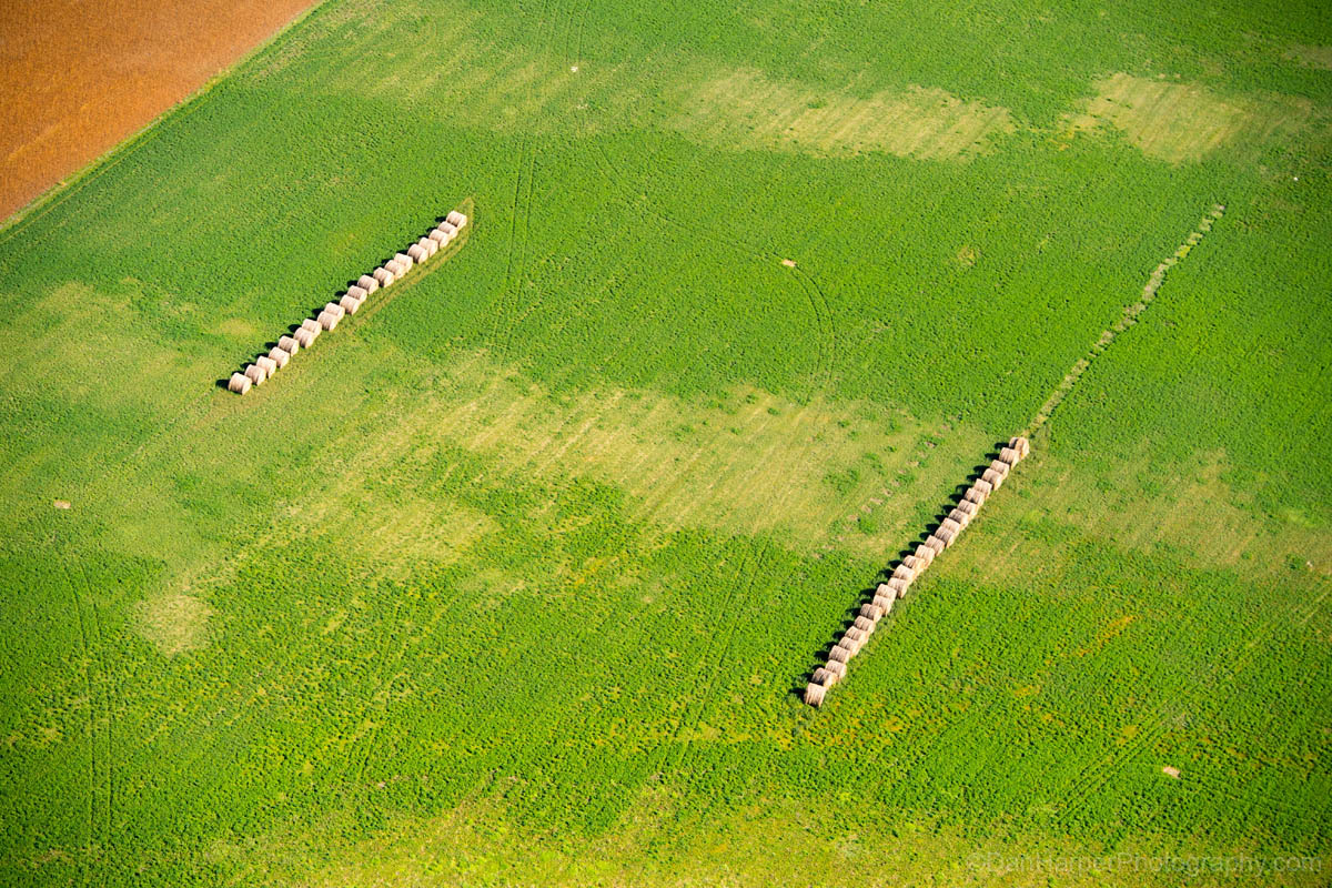 rural_manitoba_field_8635