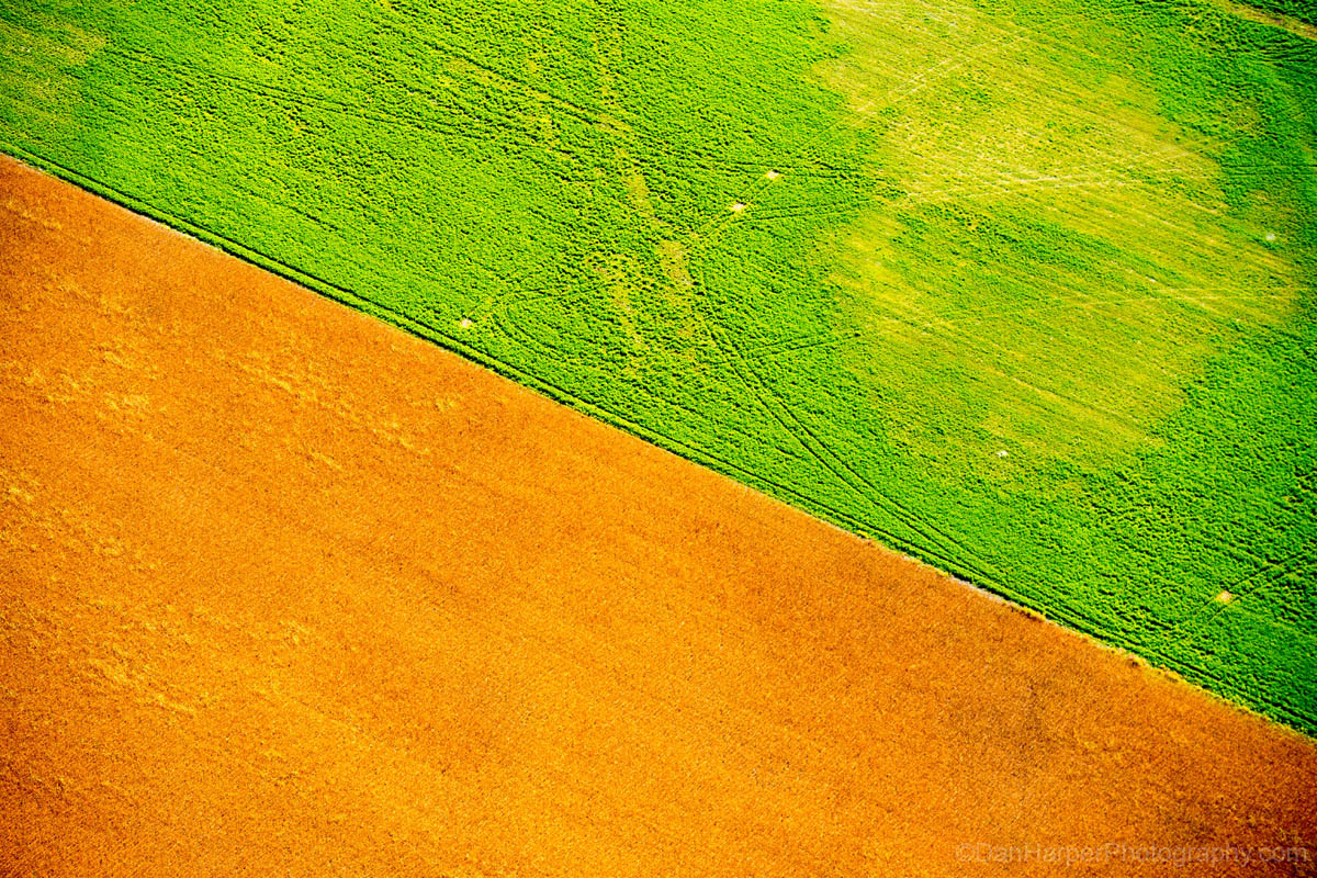 rural_manitoba_field_8648