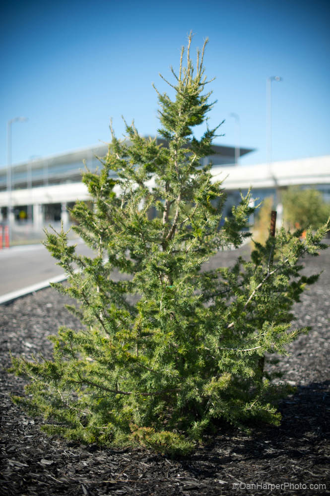 winnipeg_airport-DD4_4725