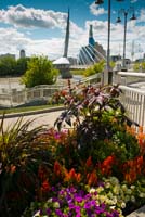 D80_1486_provencher_bridge