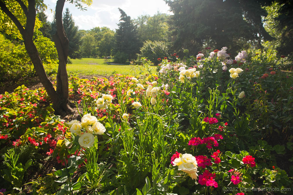 Bonnycastle_Park_D80_9542