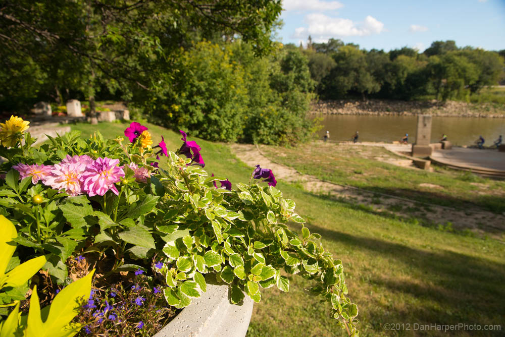 Bonnycastle_Park_D80_9598