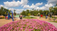 Assiniboine_Park_Nat#11346F